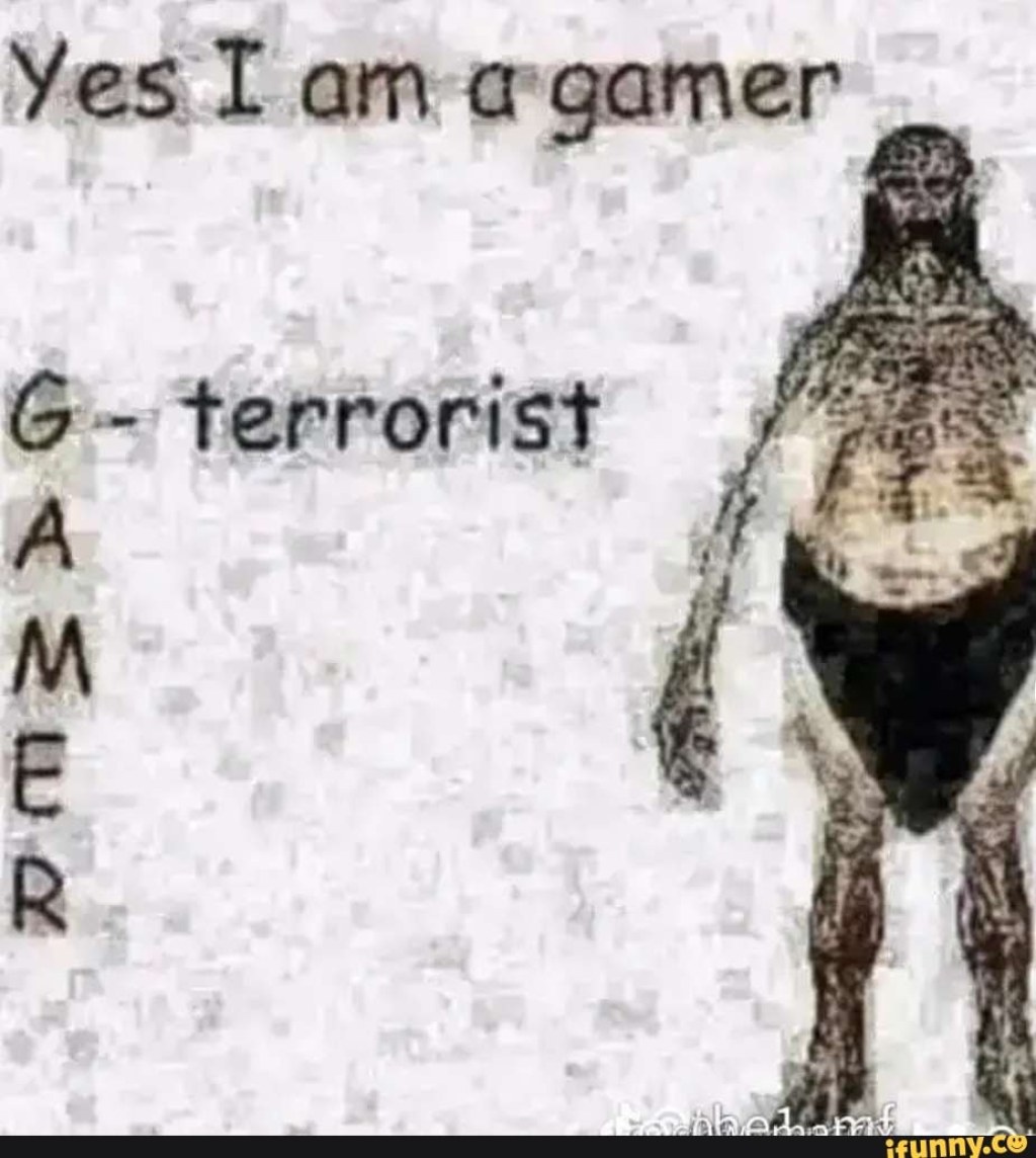 Picture of: Yes I am a gamer terrorist – iFunny Brazil